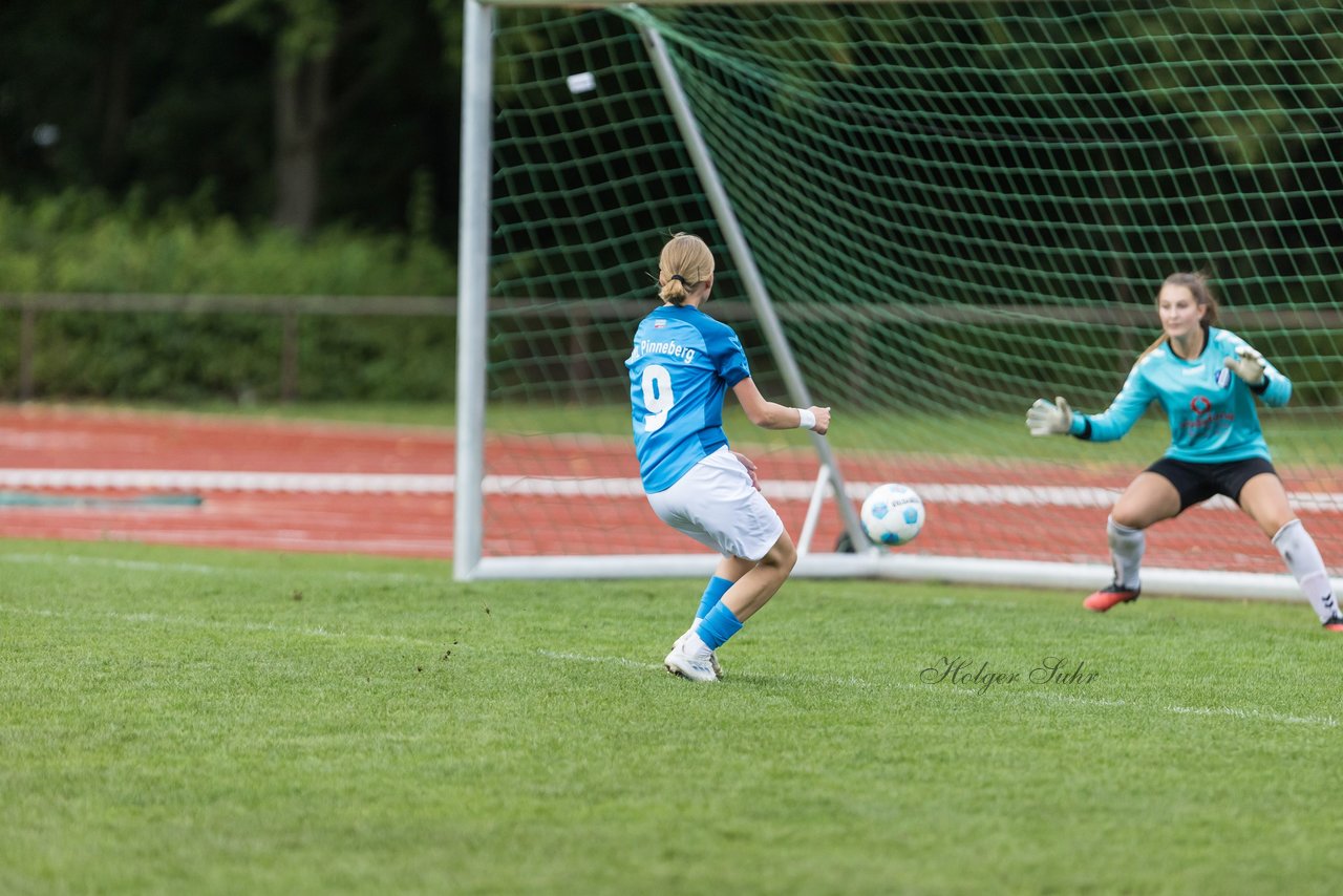 Bild 325 - wBJ VfL Pinneberg - Germania Schnelsen : Ergebnis: 15:1